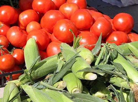  Florida Agricultural Products are ready for sale